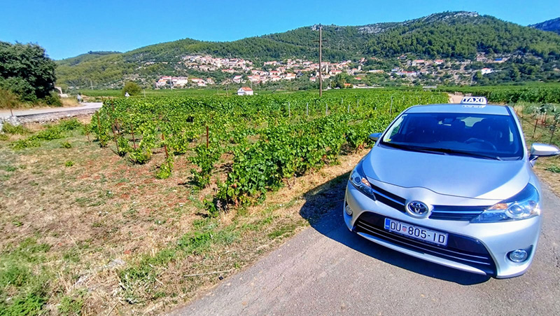 Čara
